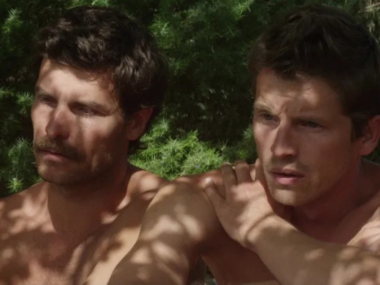 Stranger by the Lake (2013)