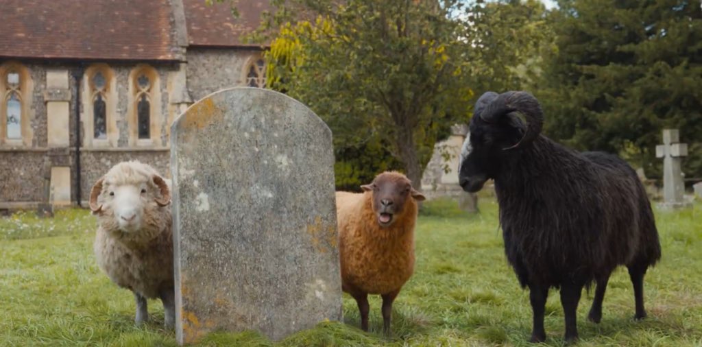 The Sheep Detectives